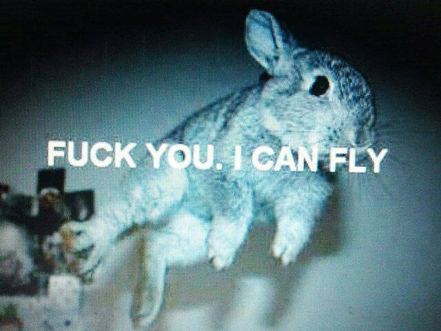 fuck you. I can fly