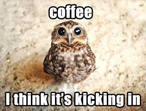 coffee, I think it is kicking in