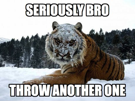 seriously bro