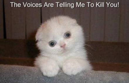 voices